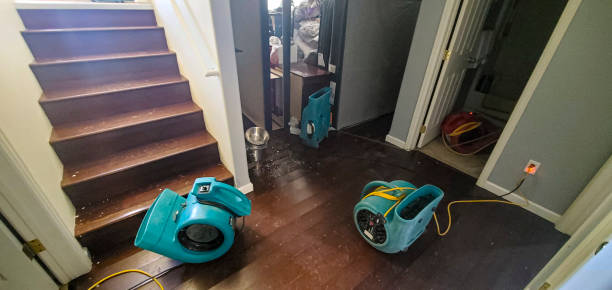 Best Water damage cleanup near me  in Sanibel, FL