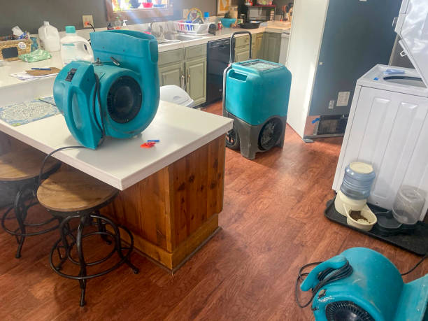 Best Local water damage restoration  in Sanibel, FL