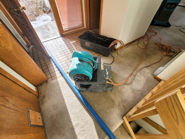 Best Emergency water damage restoration  in Sanibel, FL
