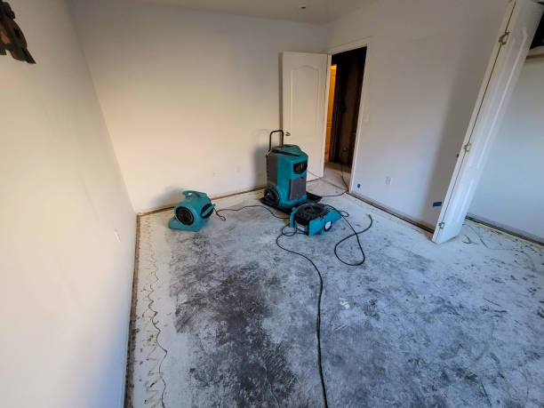 Best Ceiling water damage repair  in Sanibel, FL
