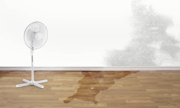 Best Emergency water damage restoration  in Sanibel, FL