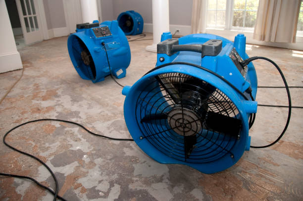 , FL Water damage restoration Company