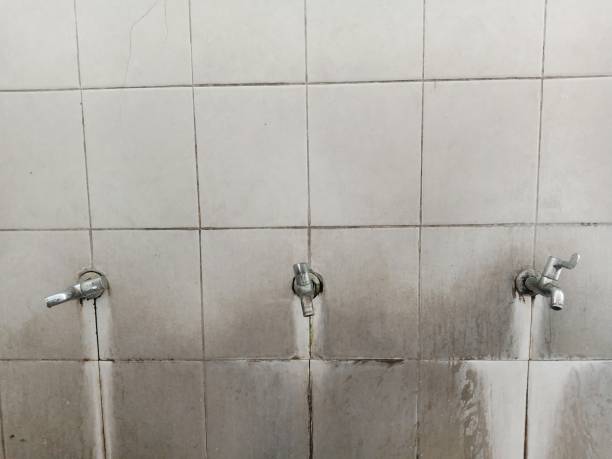Best Water damage restoration near me  in Sanibel, FL