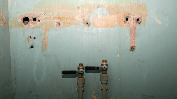 Best 24-hour water damage restoration  in Sanibel, FL
