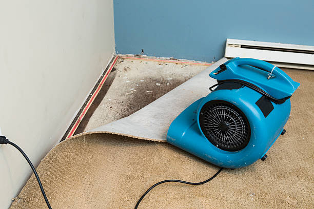 Best Commercial water damage restoration  in Sanibel, FL
